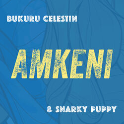 Cover of Amkeni