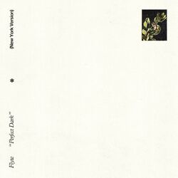 Cover of Perfect Dark (New York Version)