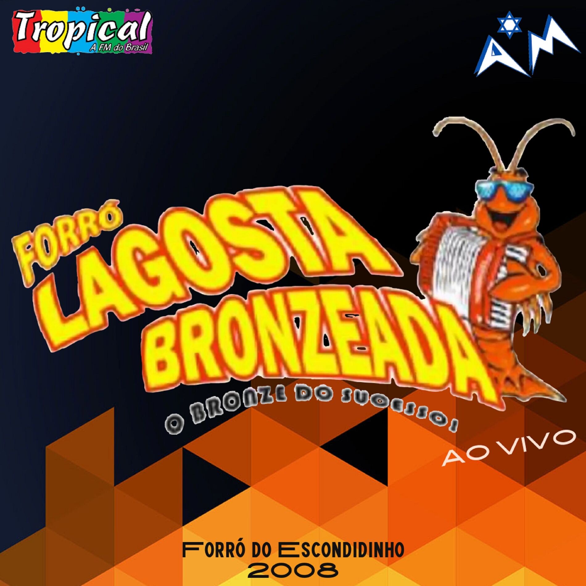 Album cover of Forró do Escondidinho 2008 (Ao Vivo)