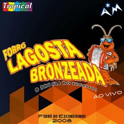 Cover of Forró do Escondidinho 2008 (Ao Vivo)