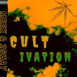 Cover of Cultivation