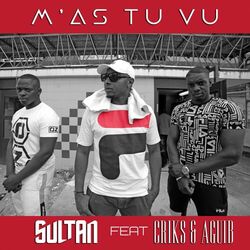 Cover of M'as-tu vu