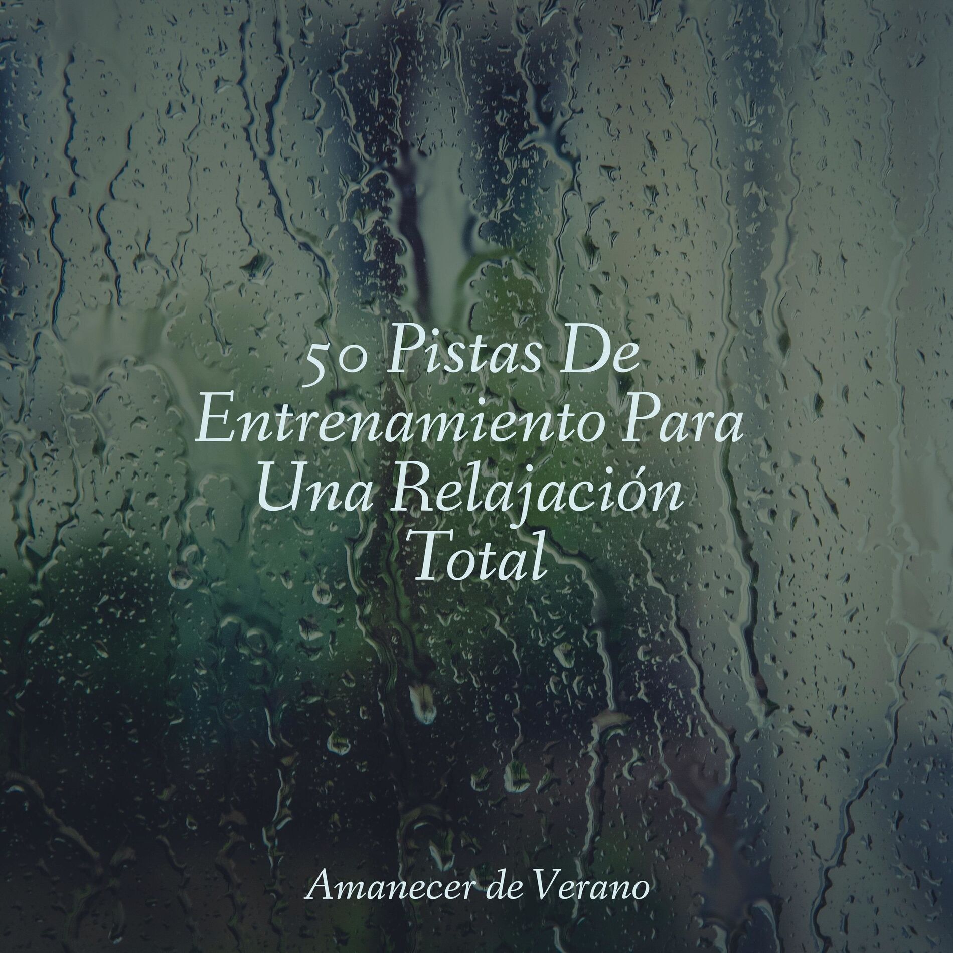 Album cover of 50 Pistas De Entrenamiento Para Una Relajación Total