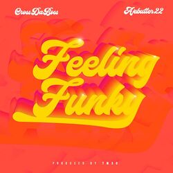 Cover of Feeling Funky