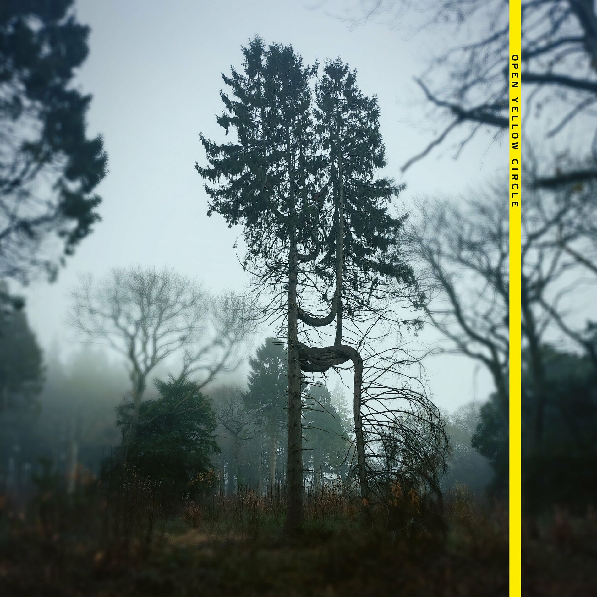 Album cover of Below Mono