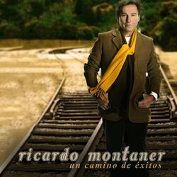 Cover of Un Camino De Exitos