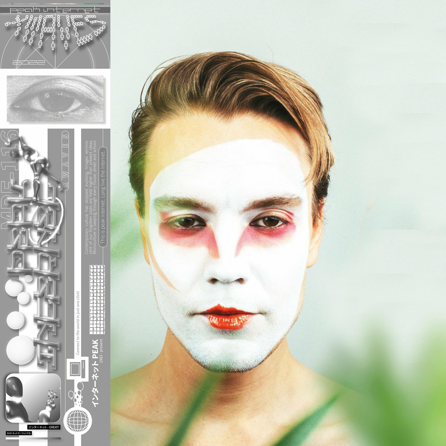 Album cover of Peak Internet