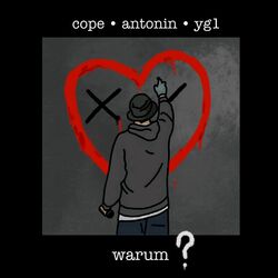 Cover of Warum?