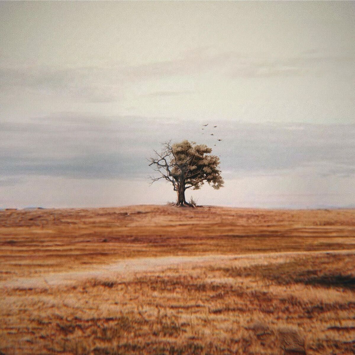 Album cover of Há-de Ser