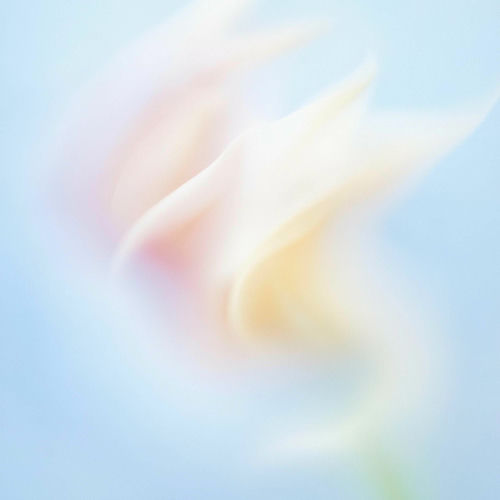 Jang Soo Bin – Windy – Single