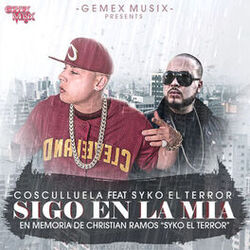 Cover of Sigo en la Mia
