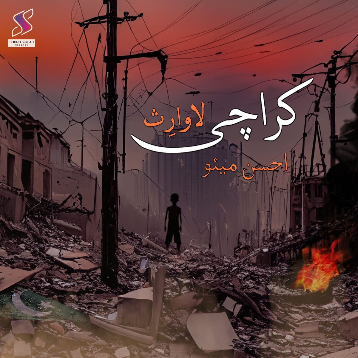 Album cover of Karachi Lawaris