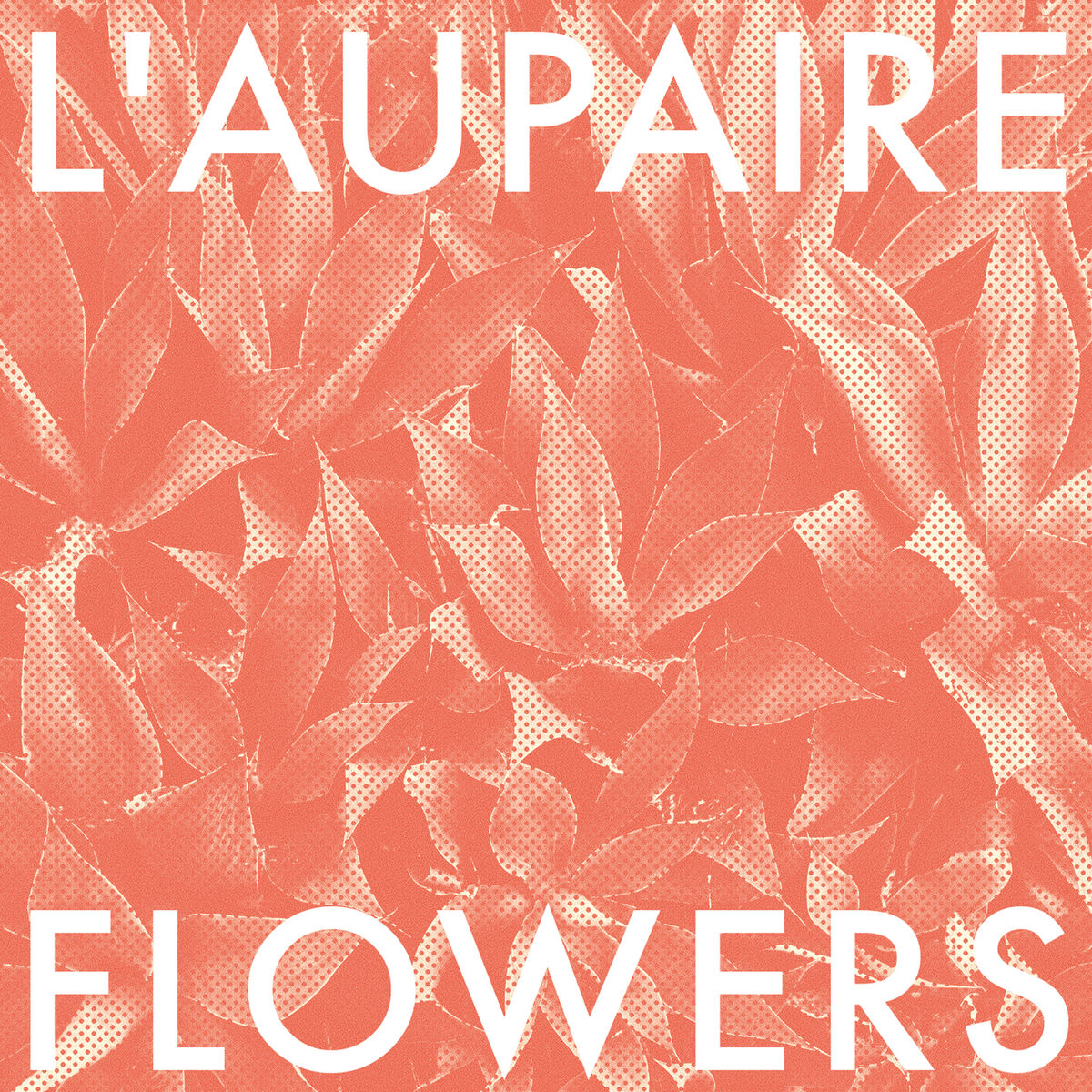 Album cover of Flowers