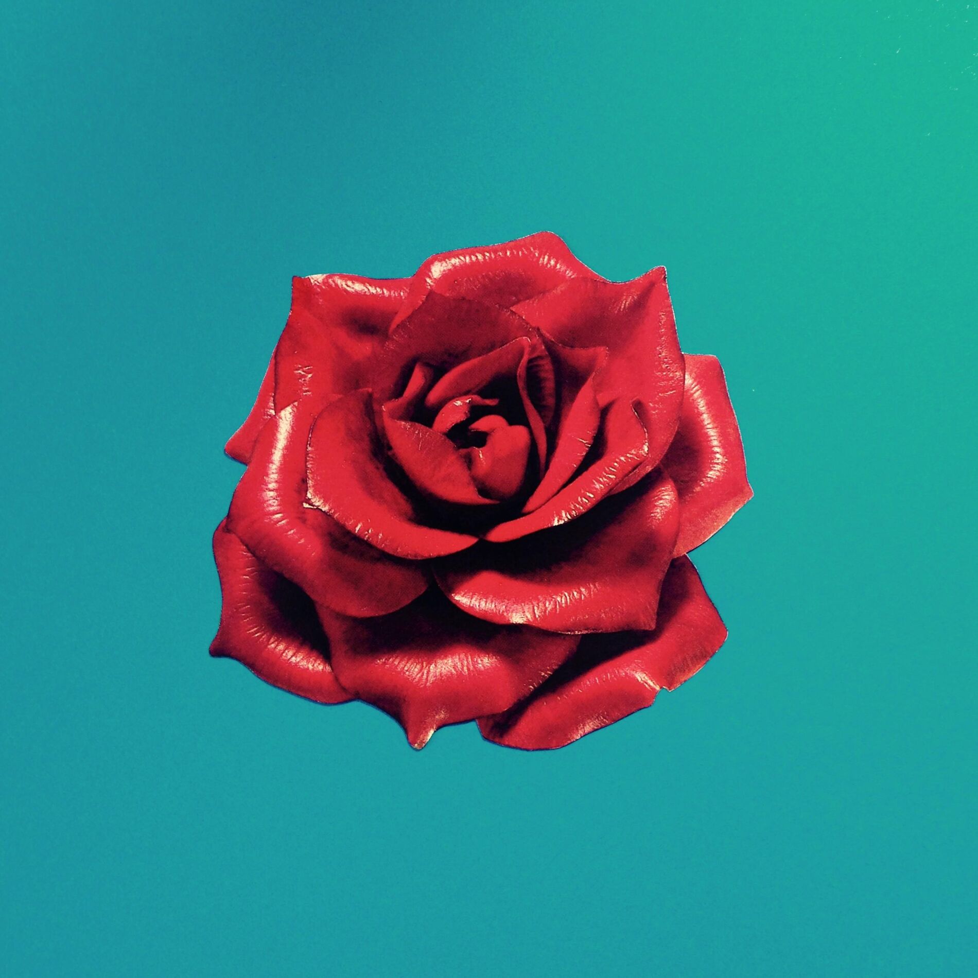 Album cover of Sign Me Up