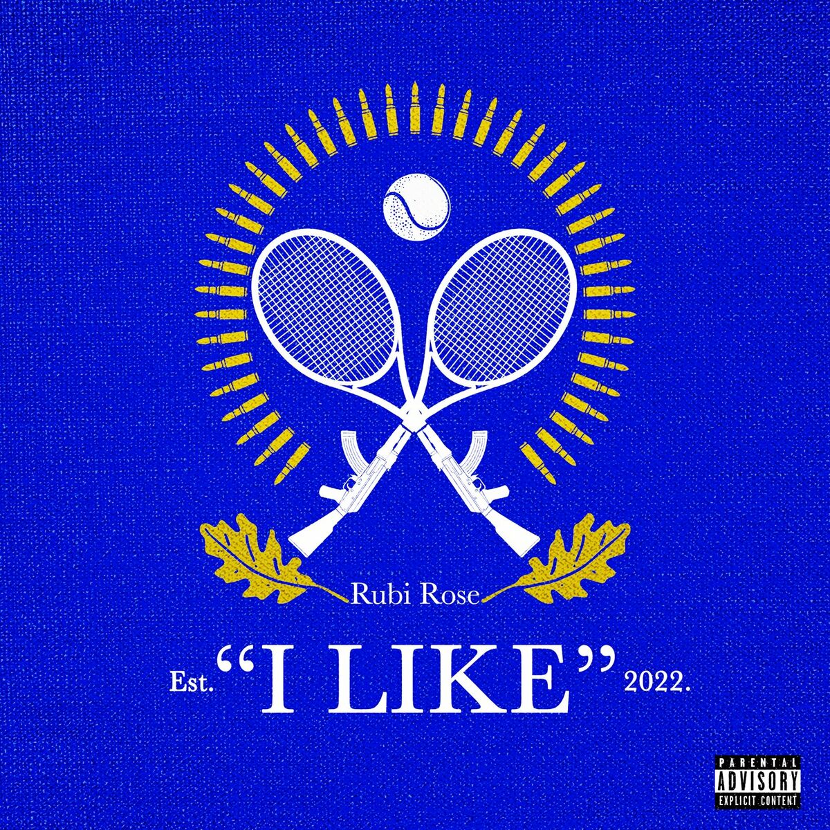 Album cover of I Like