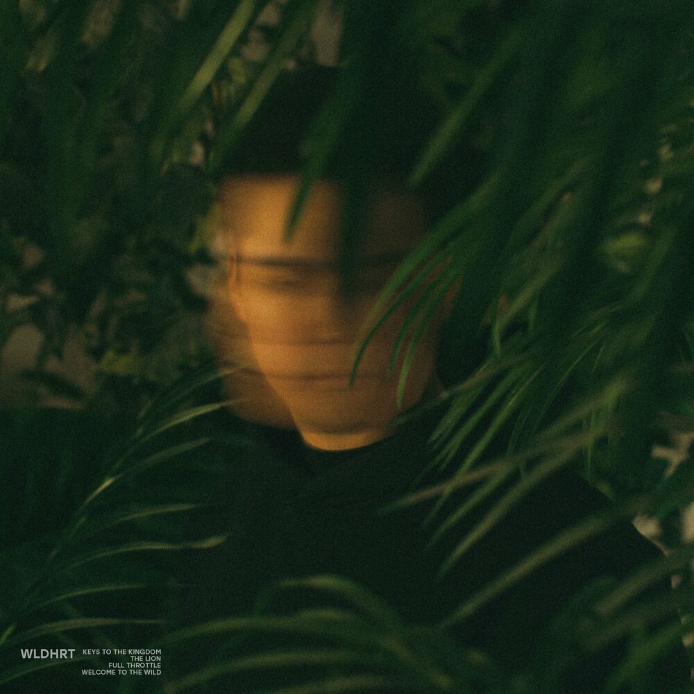 Picture of Welcome to the Wild