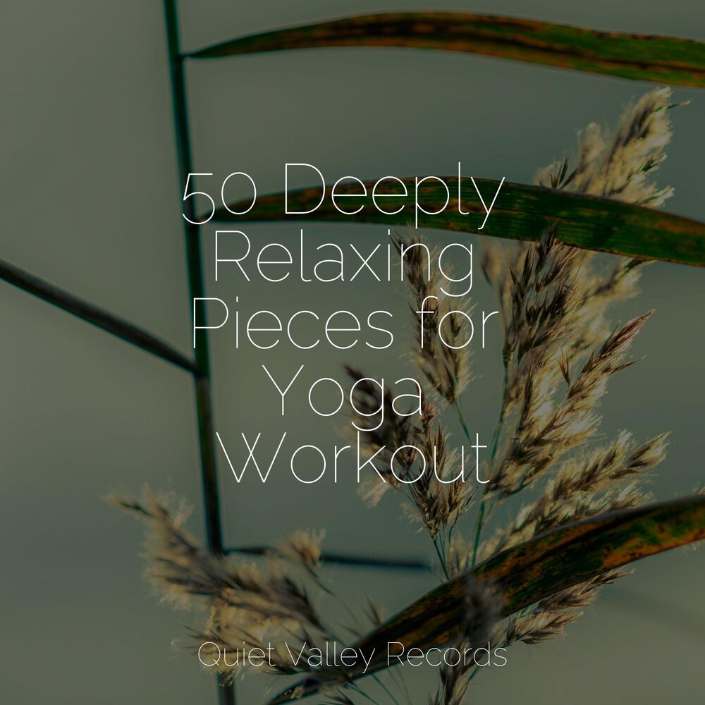Picture of 50 Deeply Relaxing Pieces for Yoga Workout