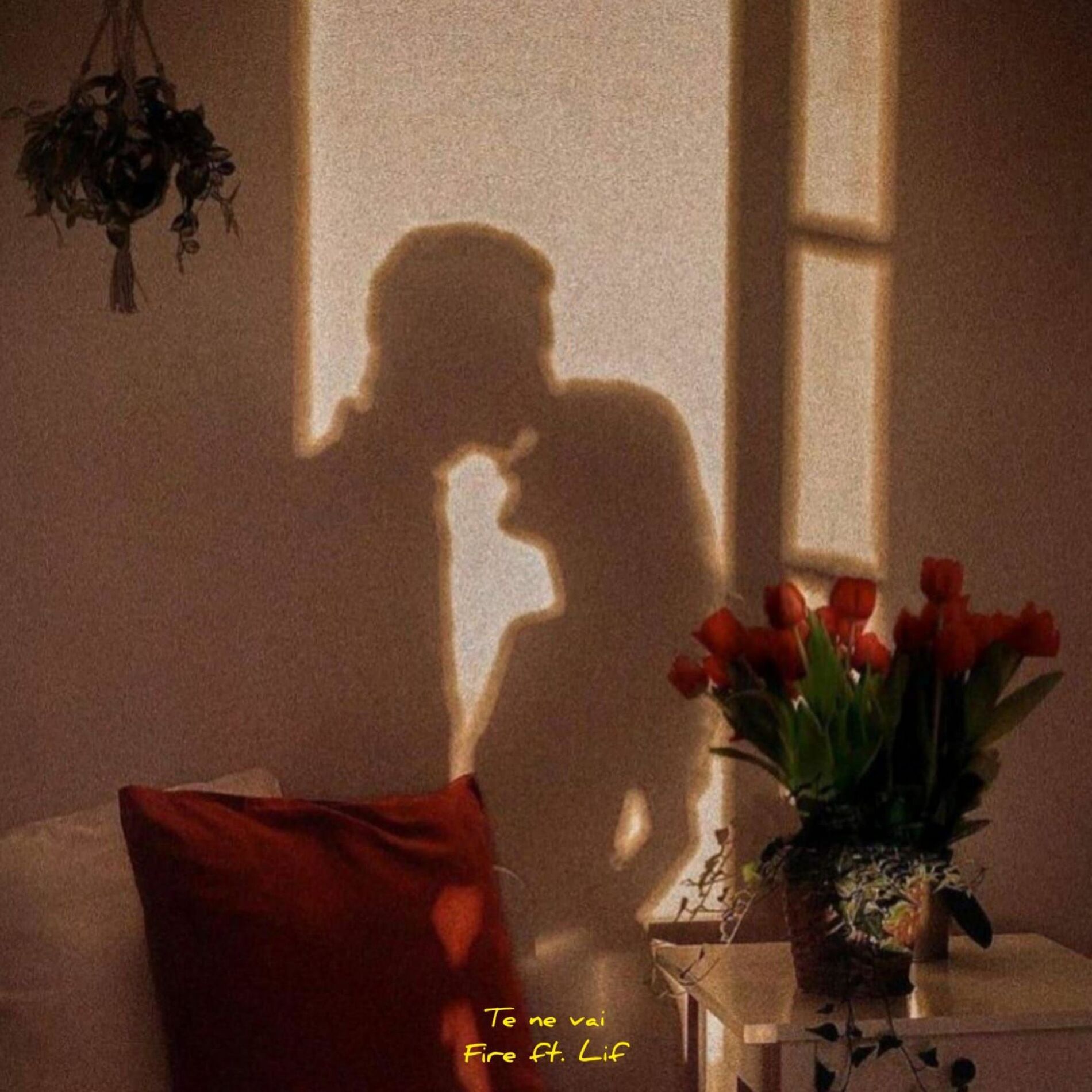 Album cover of Te ne vai (feat. Lif)