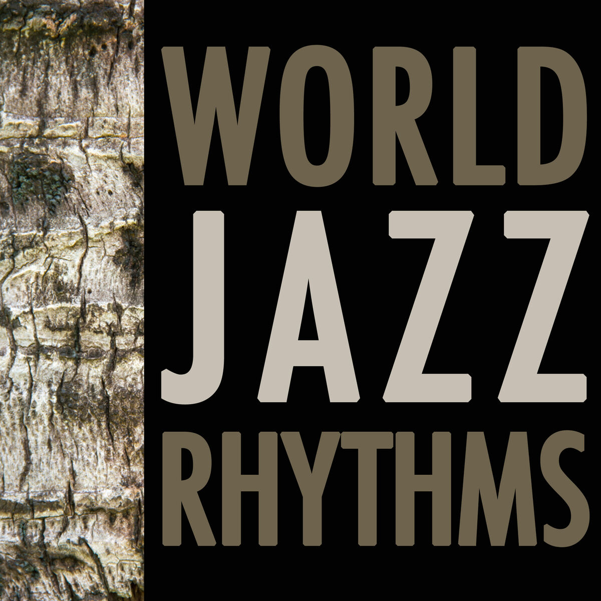 Album cover of World Jazz Rhythms