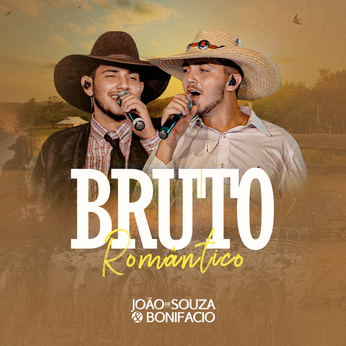 Album picture of Bruto Romântico (Ao Vivo)