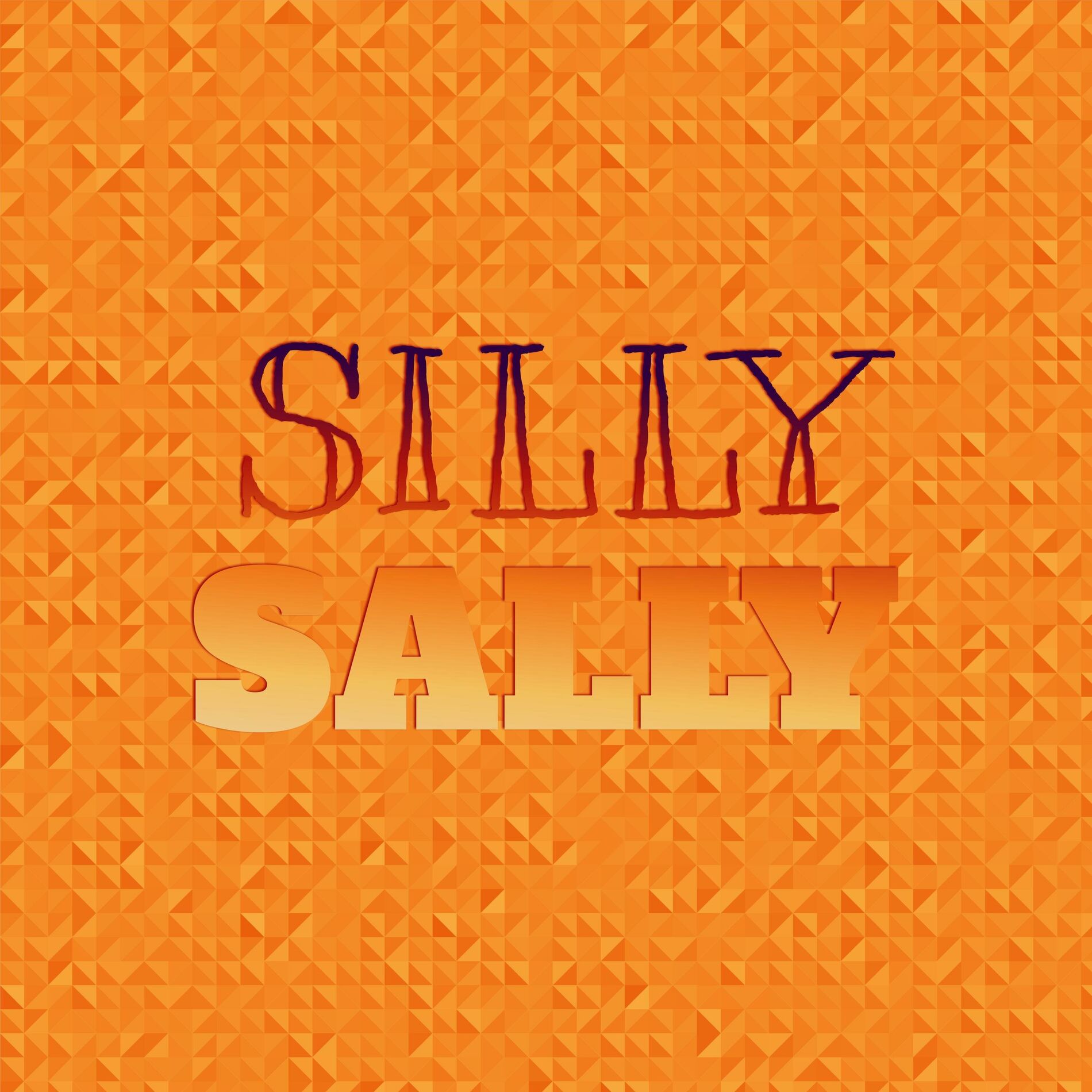 Album cover of Silly Sally