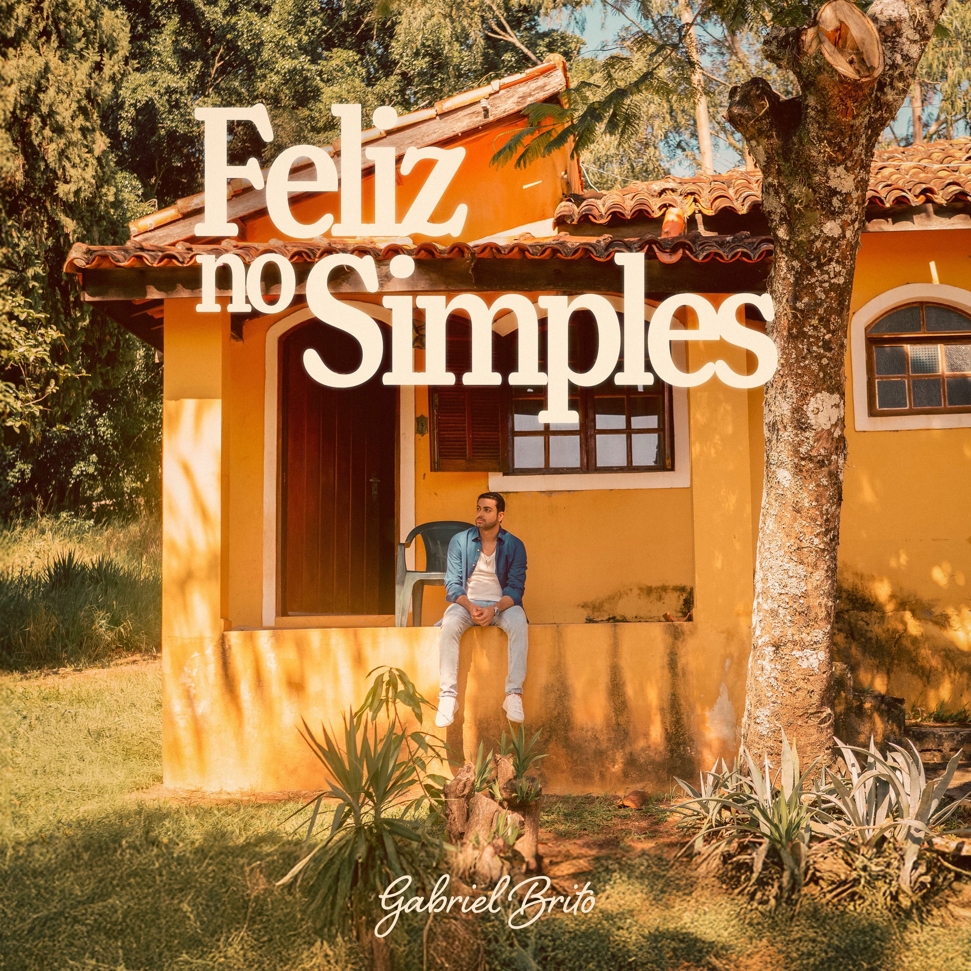 Album cover of Feliz no Simples