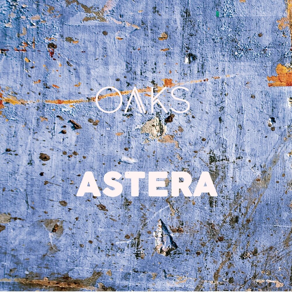 Picture of Astera