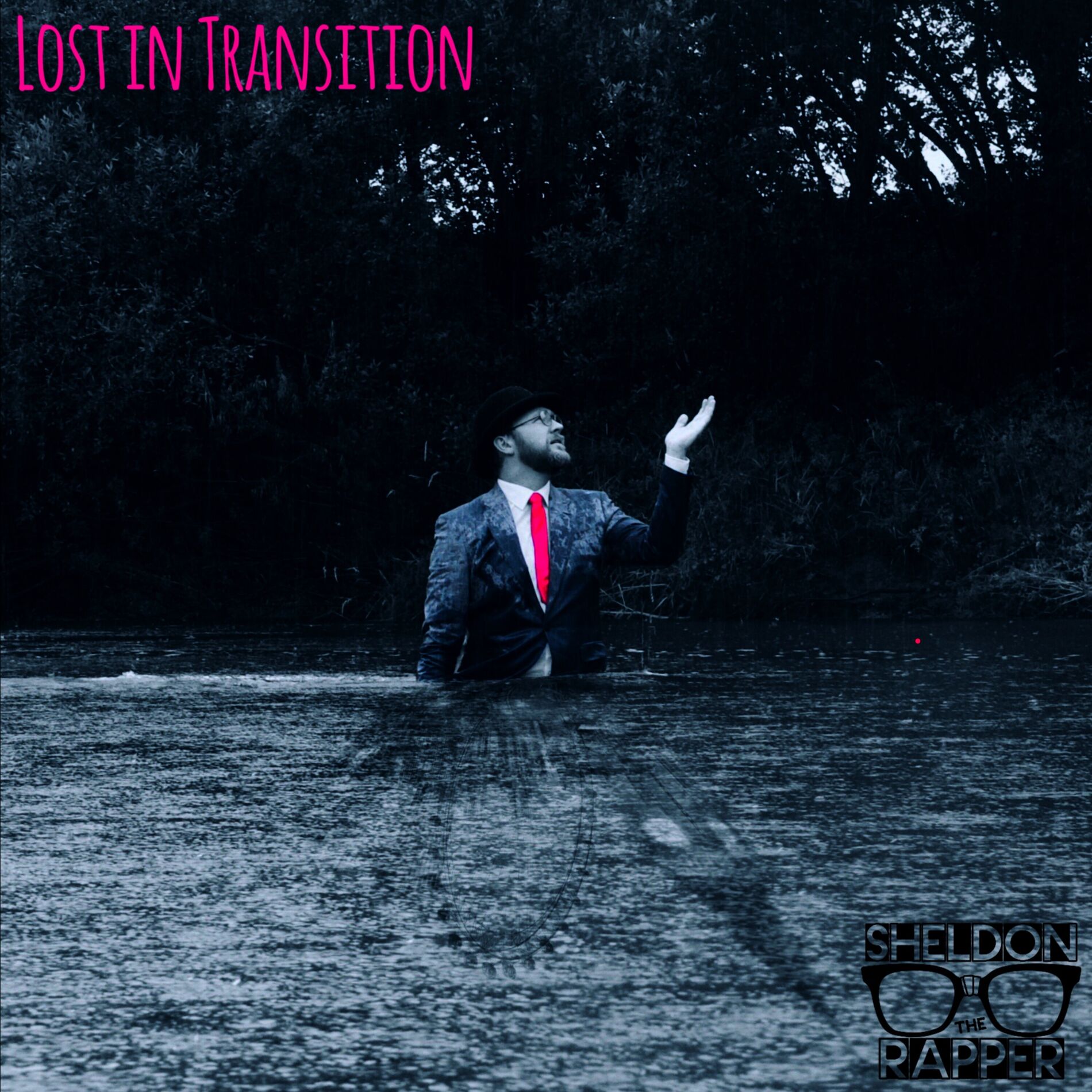 Album cover of Lost in Transition
