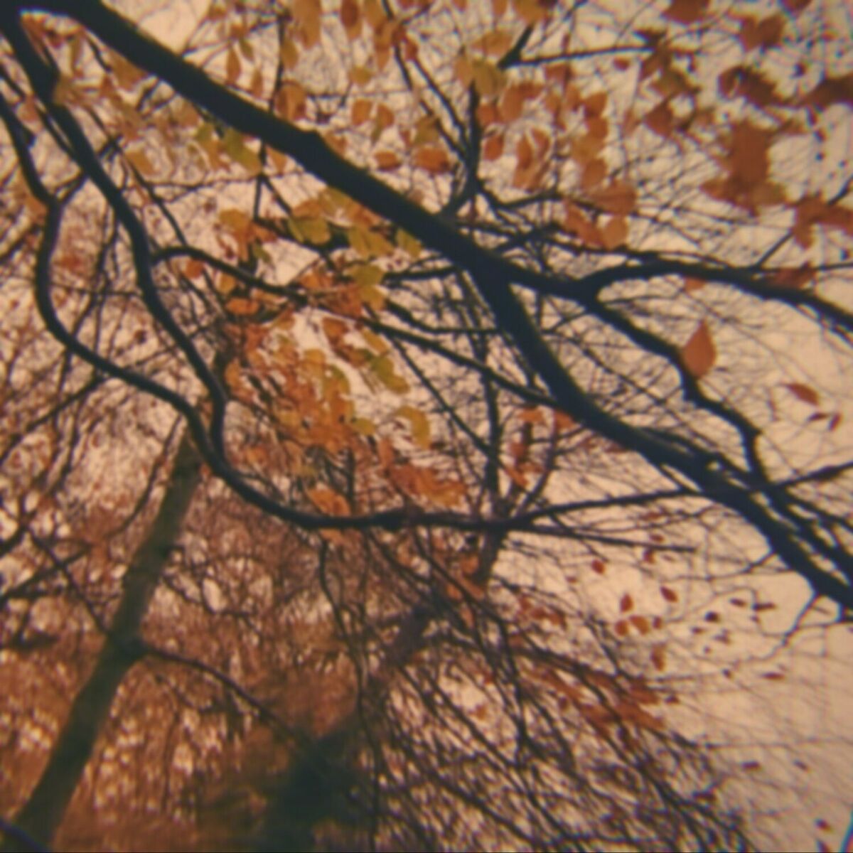 Album cover of We Fell In Love In October