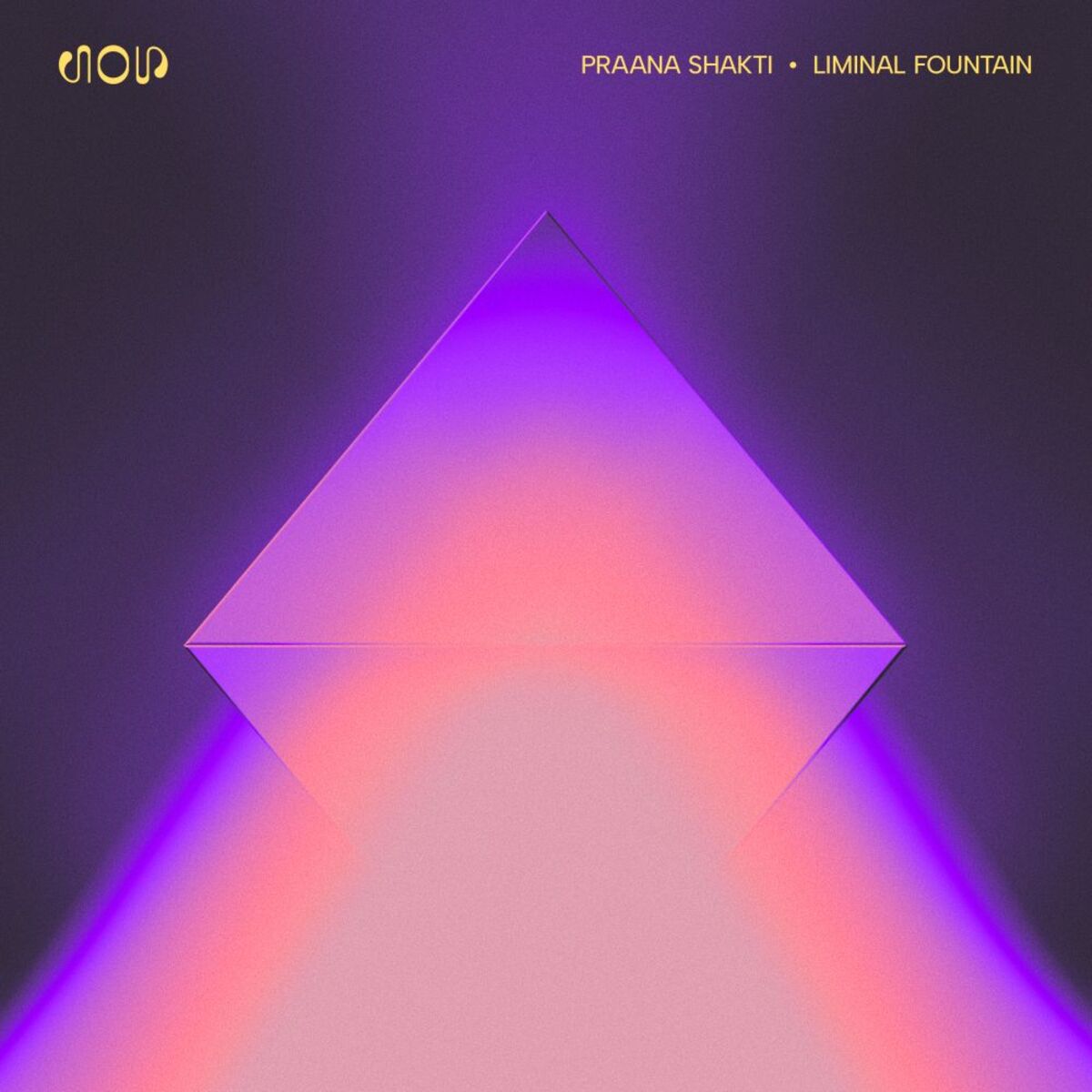 Album cover of Liminal Fountain