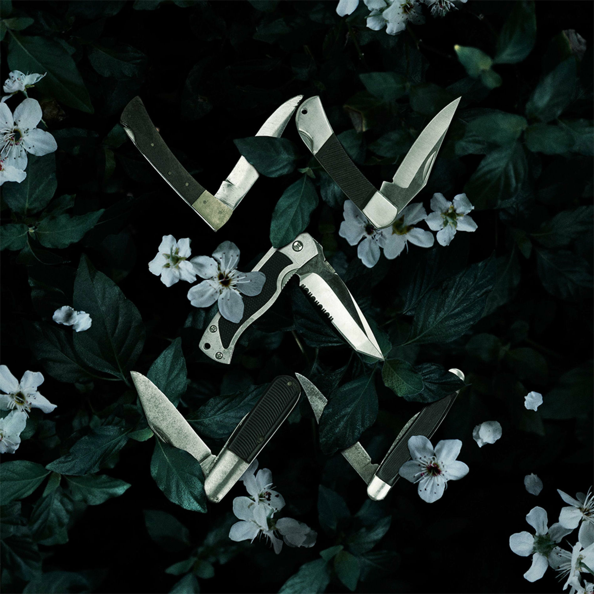 Album cover of Words Are Weapons