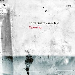 Cover of Opening