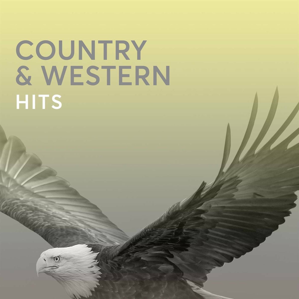 Album cover of Country & Western Hits