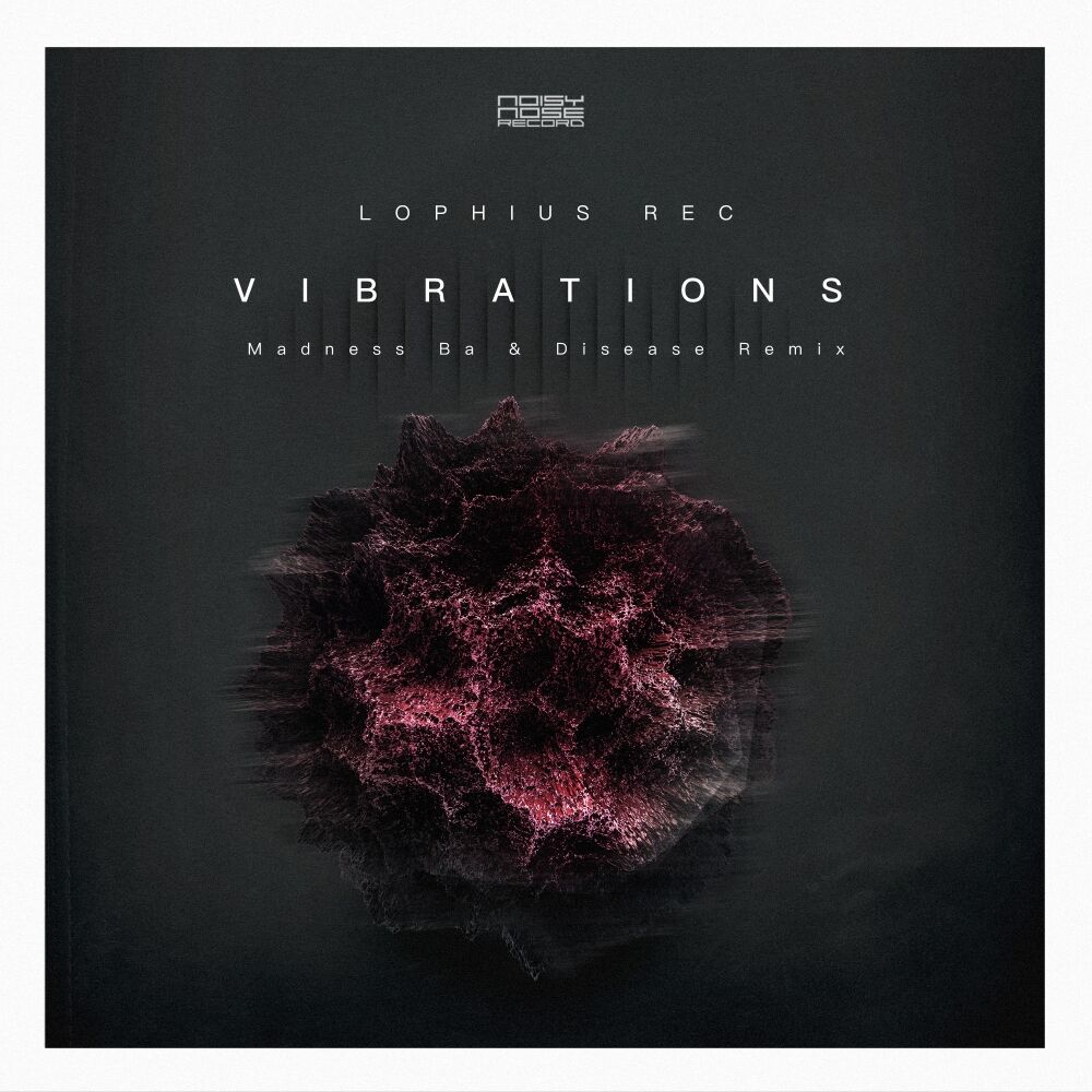Picture of Vibrations