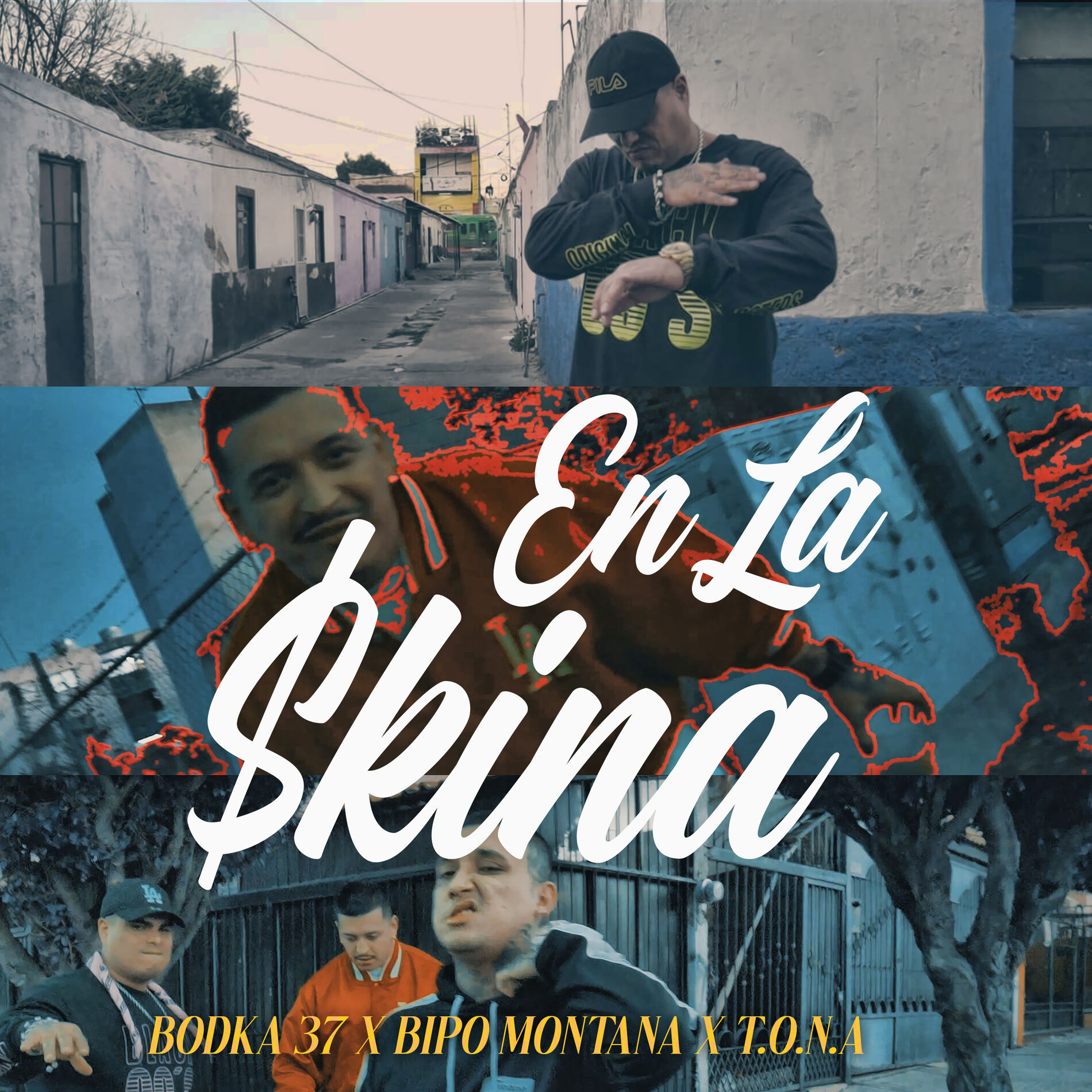 Album cover of En la Skina