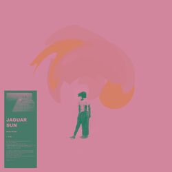 Cover of Broken Record