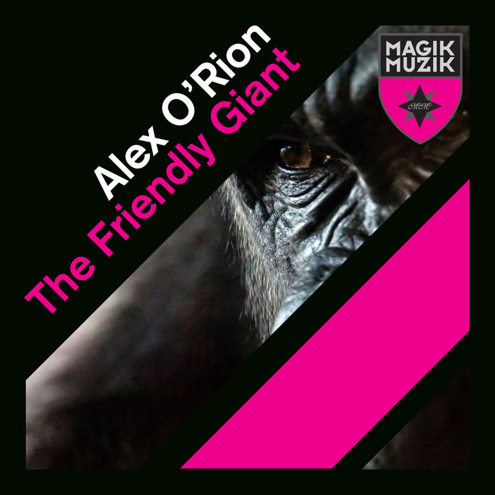 Picture of The Friendly Giant