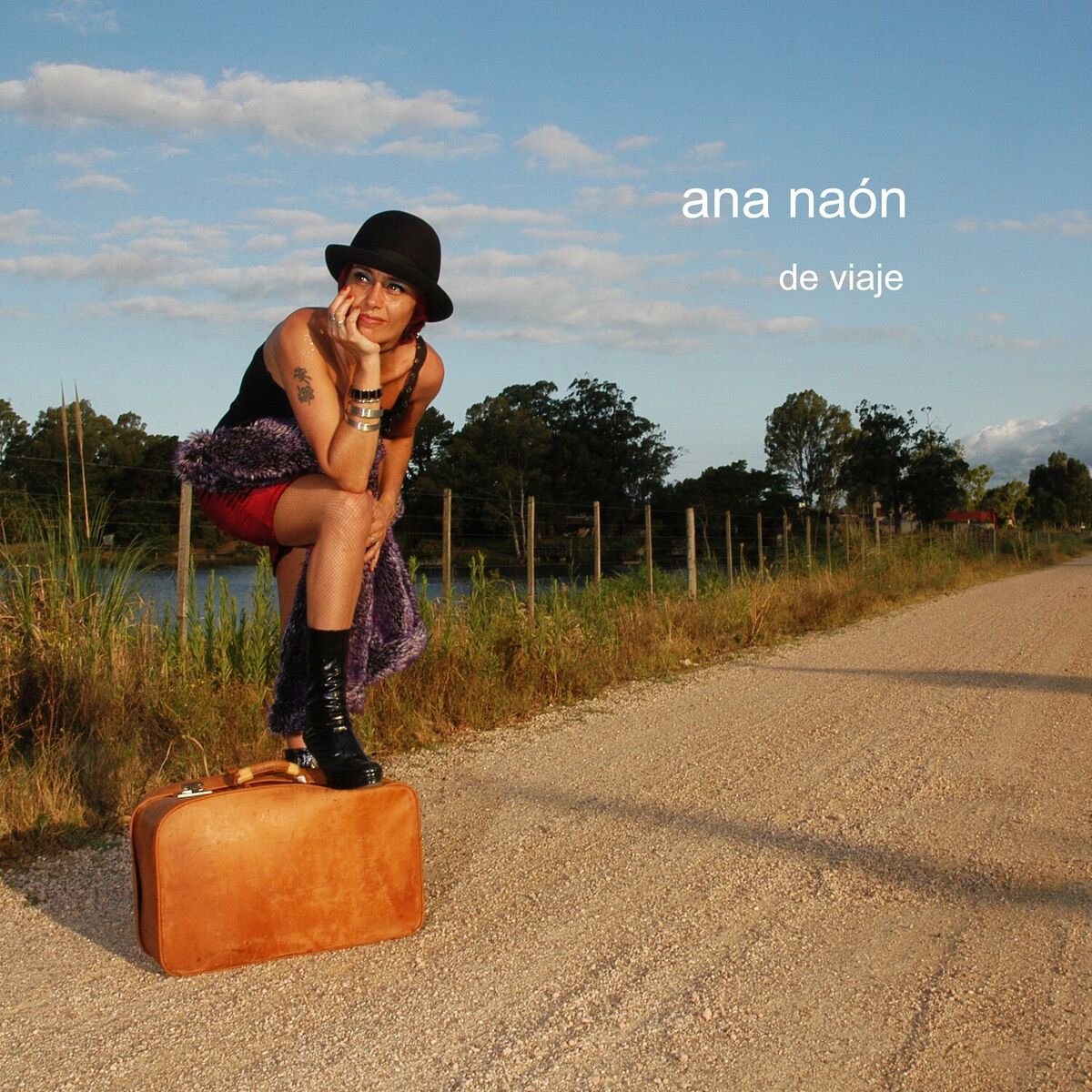 Album cover of De viaje