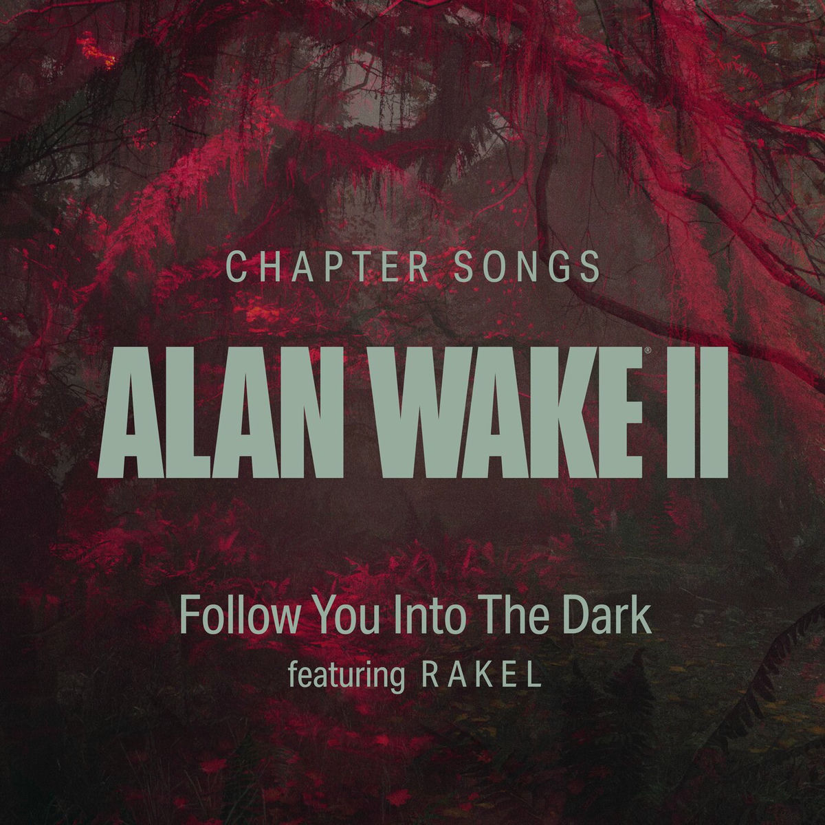 Album cover of Follow You Into The Dark