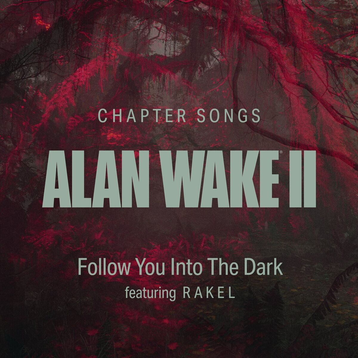Album cover of Follow You Into The Dark