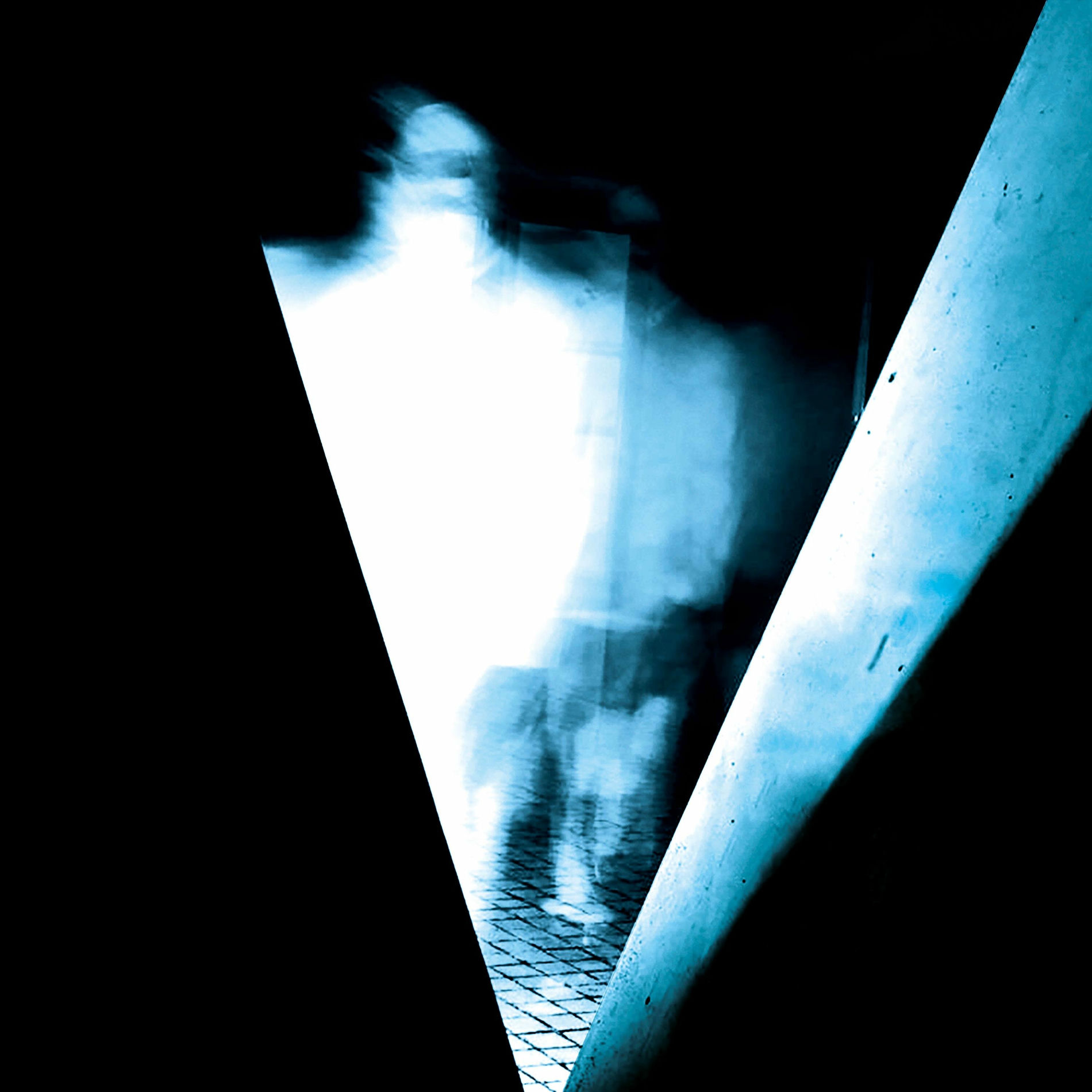 Album cover of ODONATA (Transition)