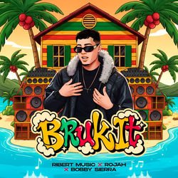 Cover of Bruk It by undefined