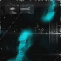 Cover of leech
