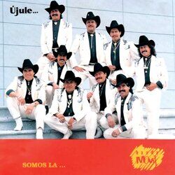 Cover of Újule