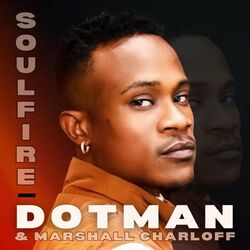 Cover of Soulfire