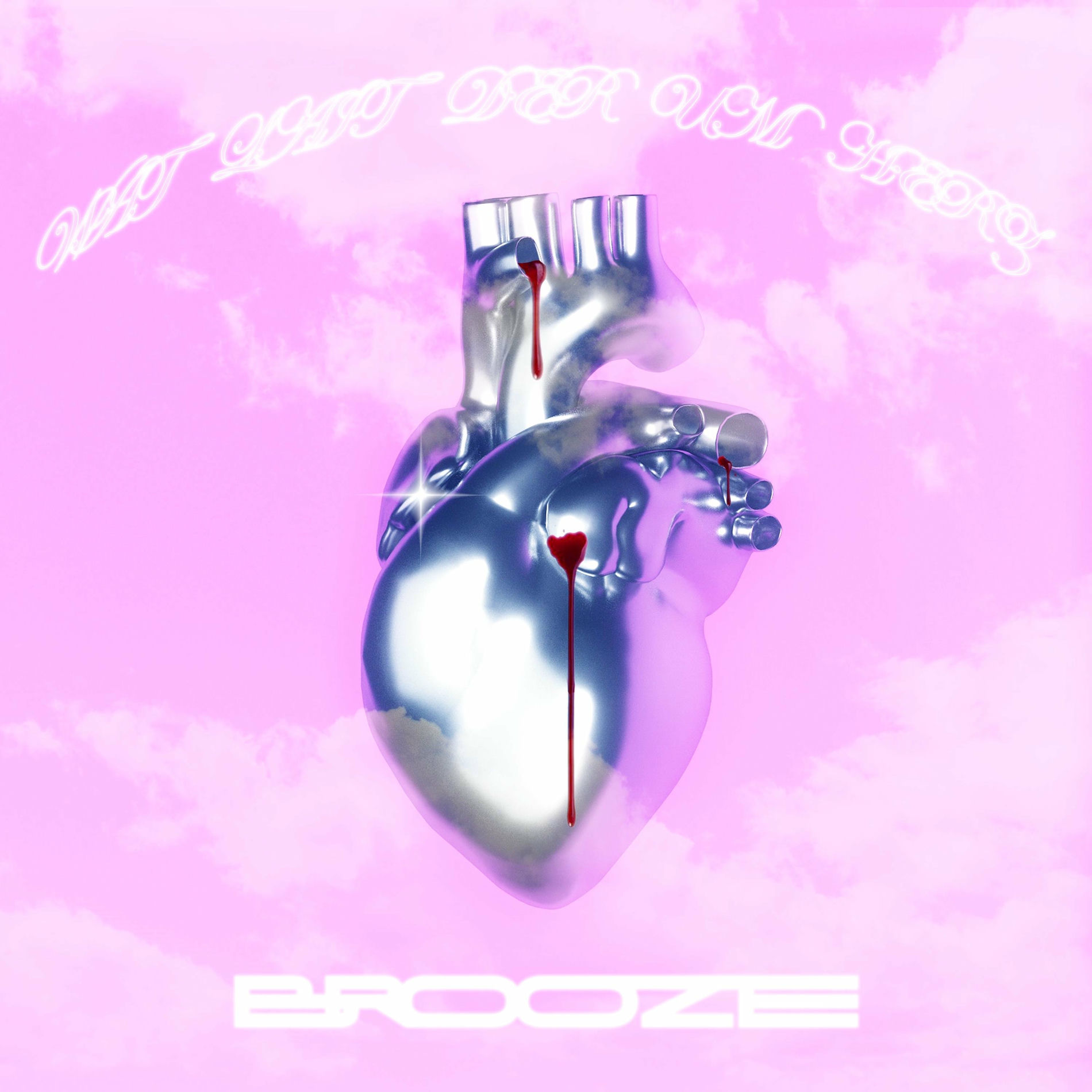 Album cover of Wat lait der um Hearz