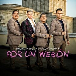 Cover of Por un Webon
