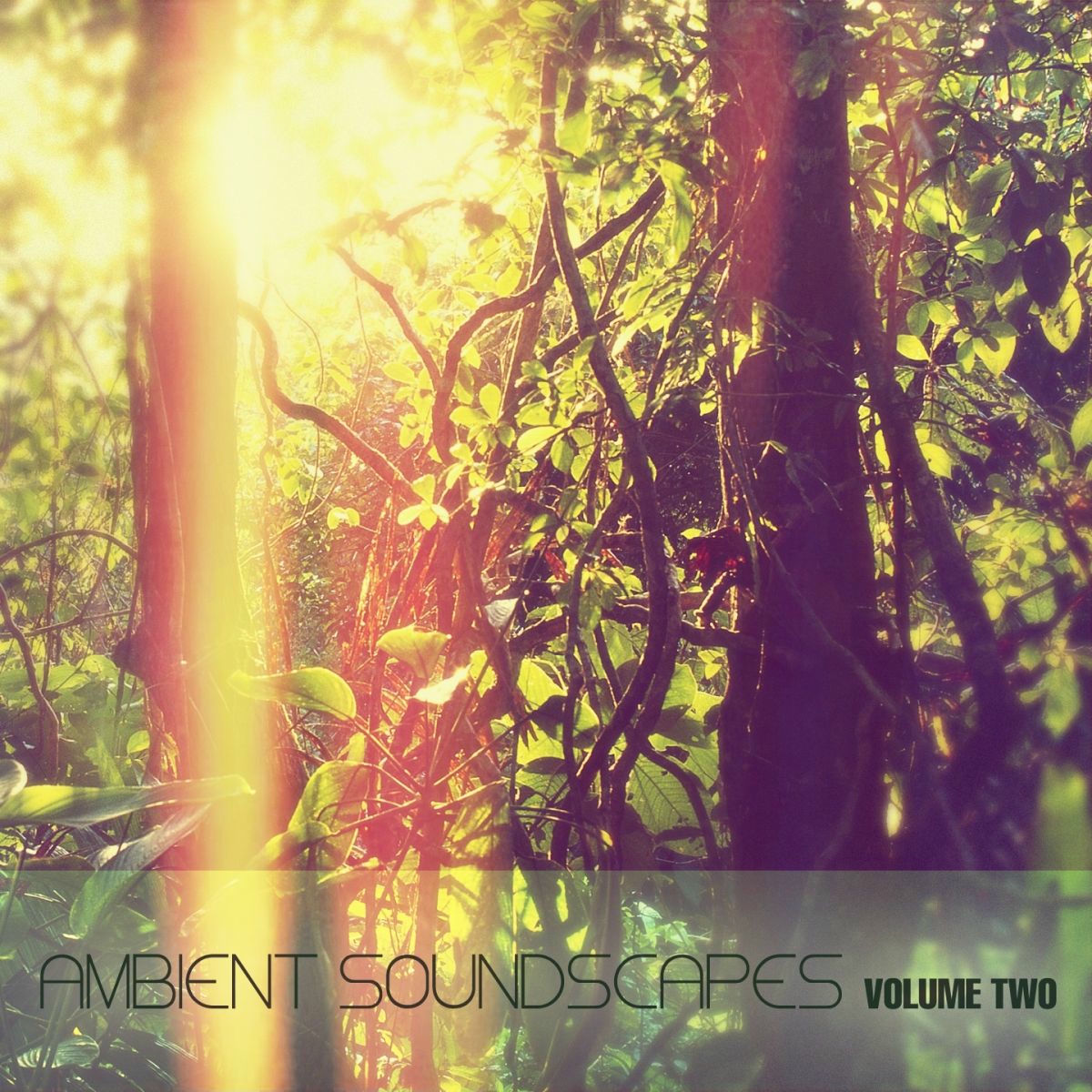 Album cover of Ambient Soundscapes, Vol.2