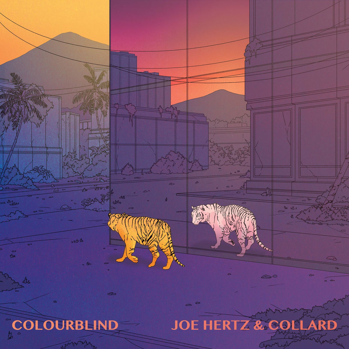 Album cover of Colourblind