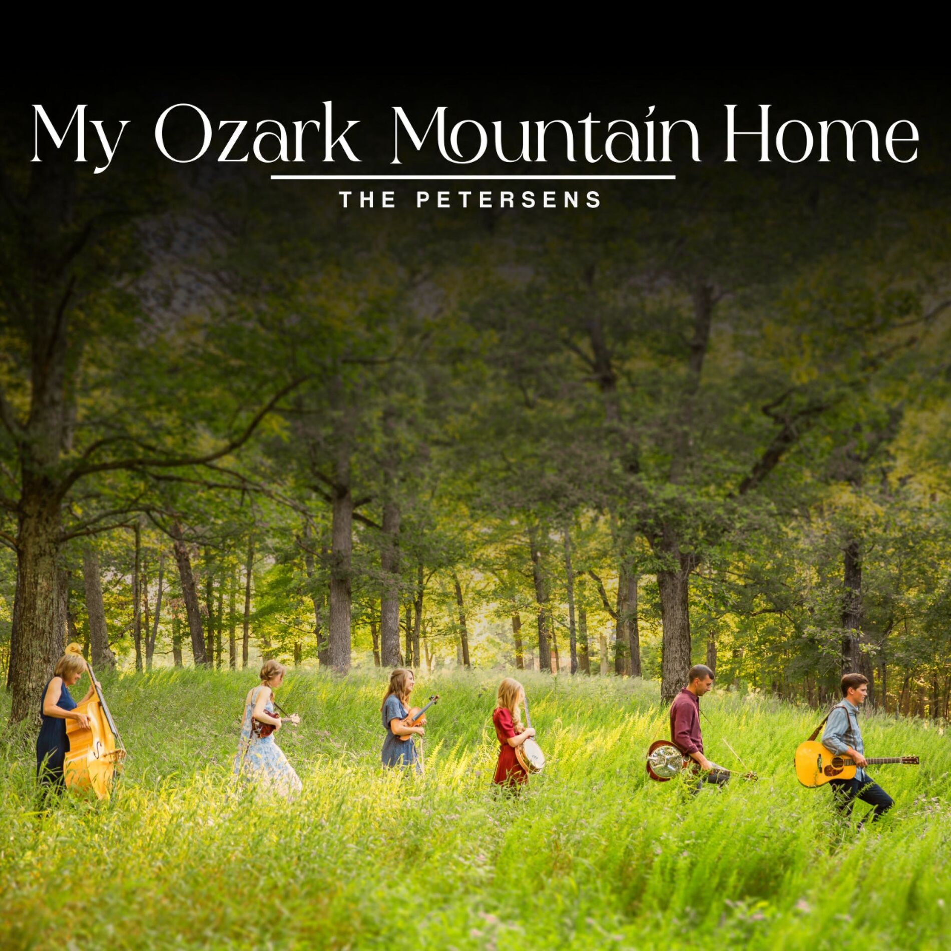 Album cover of My Ozark Mountain Home